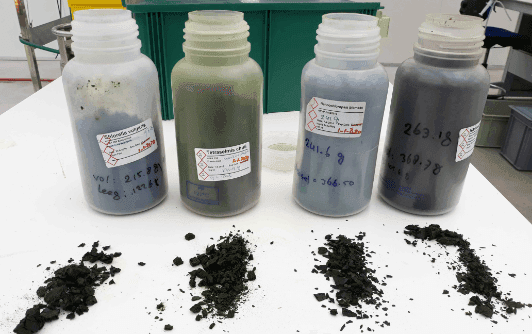 Photo of 4 bottles with algae