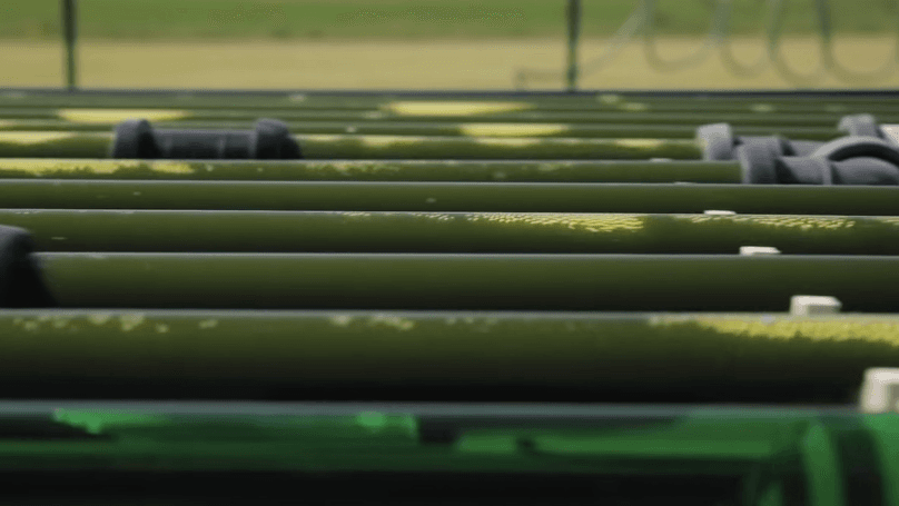 Close up of algae pipes